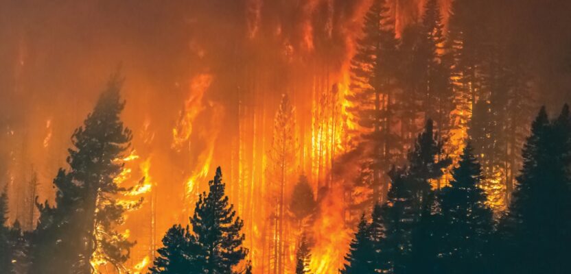 AI, 5G, and Geospatial Tech Team Up to Predict Wildfire Threat 